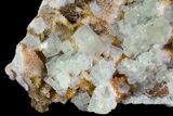 Sea-foam Green, Cubic Fluorite Crystal Cluster - Morocco #138261-1